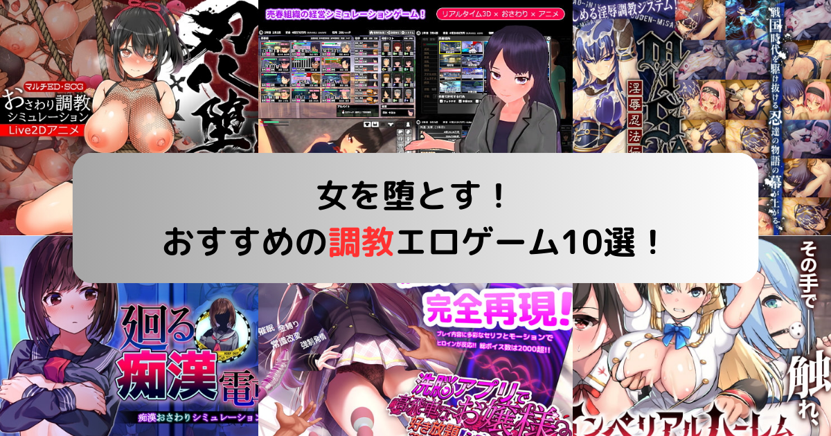 女を堕とす！おすすめの調教エロゲーム10選！
